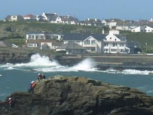 Rock Hoppers at Trearddur Bay, Anglesey