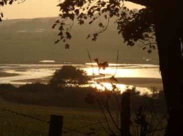 Dulas Lagoon near Traeth yr Ora Anglesey 