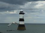 Penmon Lighthouse and Seagull