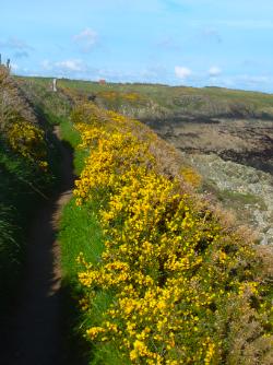 Aberffraw