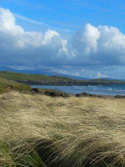 Aberffraw Marram View