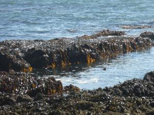 Aberffraw