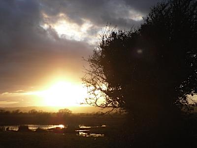 Marshland Winter Sunset