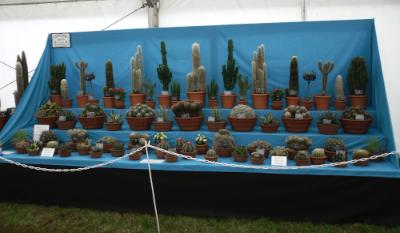 Anglesey 
Show