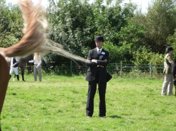 Anglesey 
Show