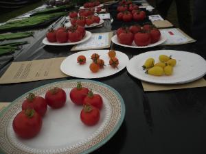 Anglesey 
Show