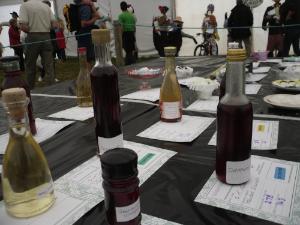 Anglesey
Show