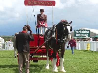 Anglesey Show Dray Wagon