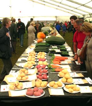 Anglesey Agricultural Show