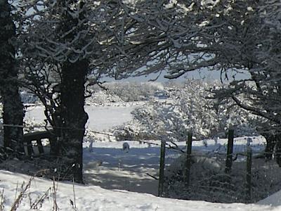 Anglesey Snowy Winter