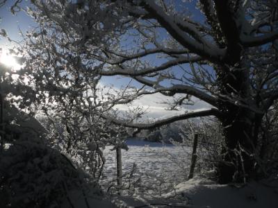 Anglesey Hidden Gem - Happy Christmas