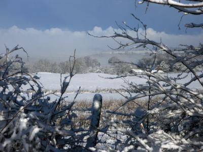 Anglesey Hidden Gem - Happy Christmas