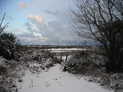 Anglesey Snow
