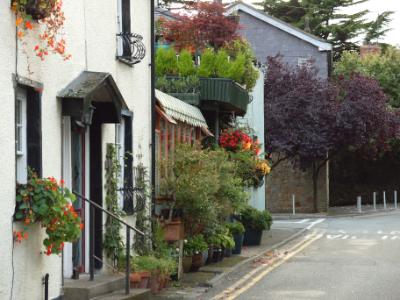 Beaumaris in Bloom Beaumaris in Bloom