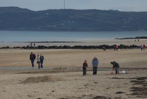 Bimbling on the beach