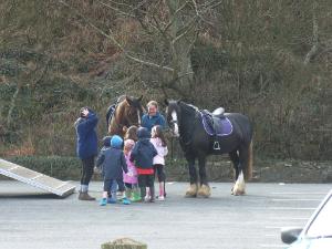 Horsies at Benllech