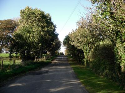 Bodedern - Rhosgoch Drive