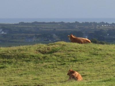 Anglesey Buccolic Paradise