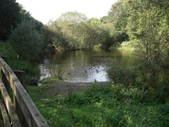 Dingle - Nant Y
Pandy