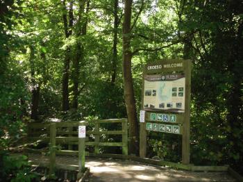 Dingle - Nant Y
Pandy