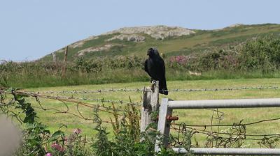 Church Bay - I'm Waiting As Quickly As I Can