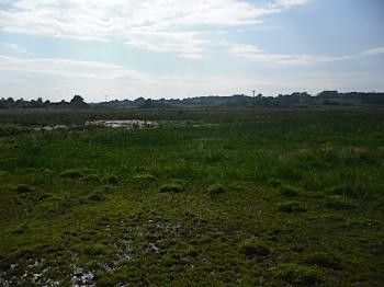 Cors Bodeilio Fen, Talwrn, Anglesey Hidden Gem.com