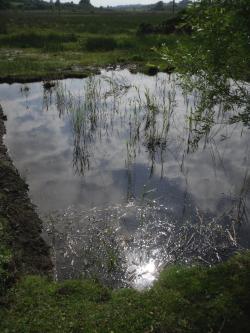 Cors Bodeilio Fen, Talwrn, Anglesey Hidden Gem.com