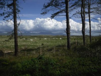 Llynnon Iron Age Site - Anglesey