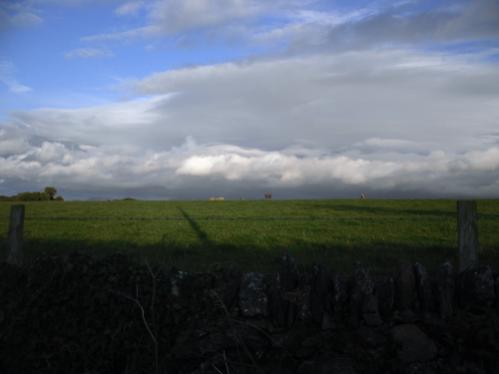 Anglesey Countryside