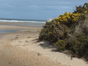 Lligwy Beach