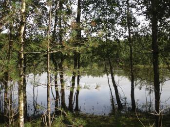 Newborough - Llyn Parc Mawr