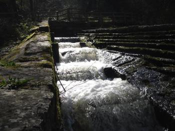 Dingle Llangefni Fish Ladder