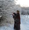 Collecting snow from wild crab apple