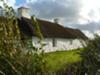 Swtan Cottage at Church Bay