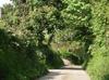 The Road to Llanfair yn y Cwmwd Church, Anglesey