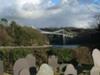 Menai Suspension Bridge from St Tysilio Chucrh Island