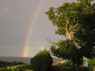 Wendy Steele’s Bull Bay Garden View - Anglesey