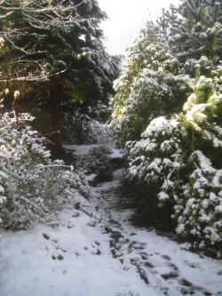 Wendy Steele's Garden - Bull Bay Anglesey