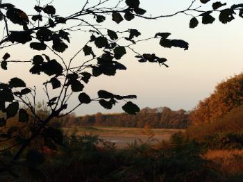 Dulas Beach Autumn Amble