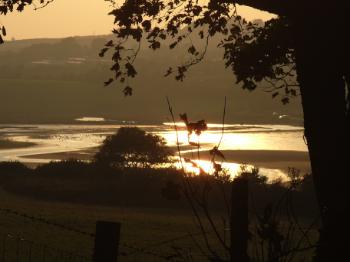 Dulas Bay - Autumn Sunshine