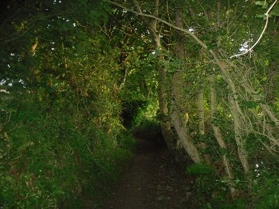 www.anglesey-hidden-gem.com - Anglesey Mystery Beach Secret Access