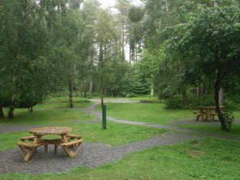 Llyn Parc Mawr, Newborough Forest