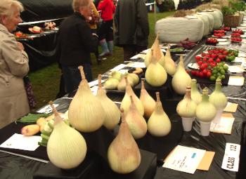 Anglesey Agricultural Show