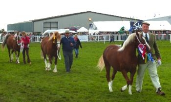 Anglesey Show Proud Winners