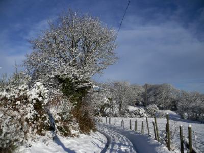 Anglesey Hidden Gem - Happy Christmas