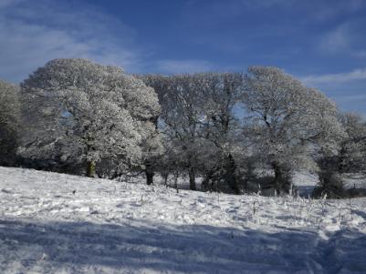 Anglesey Hidden Gem - Happy Christmas
