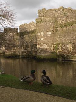 Beaumaris Castle Anglesey Hidden Gem