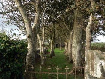 St Peirio's Church - Rhosgoch,  Anglesey