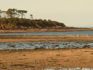Dulas Bay Reef