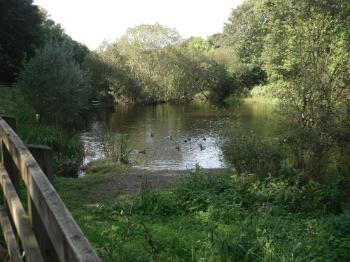 Dingle - Nant Y 
Pandy